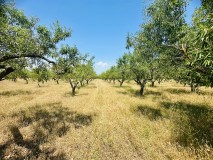 Foto14