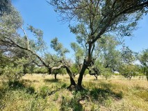 Foto16