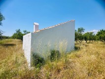 Foto5