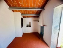 Foto6
