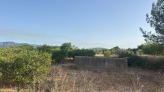 Foto2