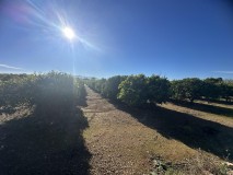 Foto4