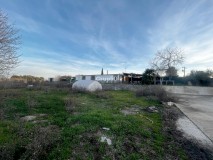 Foto33