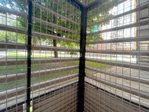 Foto19