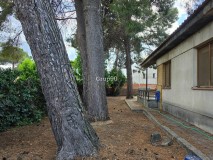 Foto17