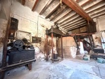 Foto4