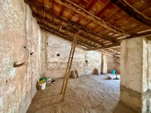 Foto9