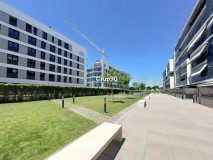 Foto50