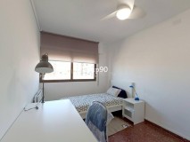 Foto7