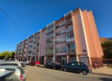 Foto8