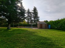 Foto12