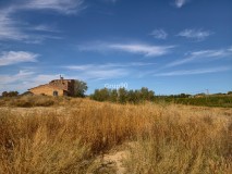 Foto11
