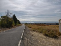 Foto19