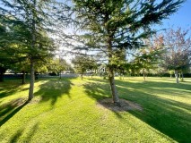 Foto10