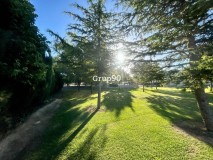 Foto43