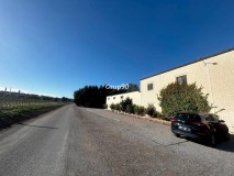 Foto49