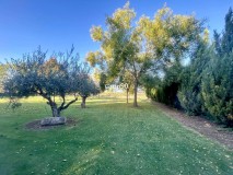 Foto42
