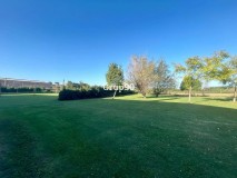 Foto45