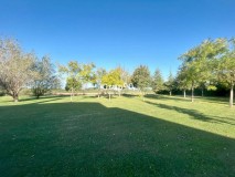 Foto46