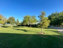 Foto8