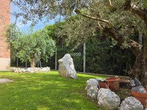 Foto16