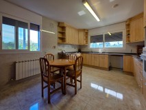 Foto41