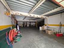 Foto66