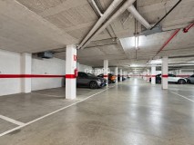 Foto41