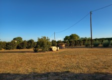 Foto5