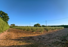 Foto6