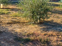 Foto9