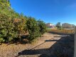 Foto4