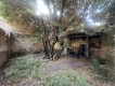 Foto8