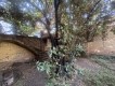 Foto9