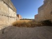 Foto8