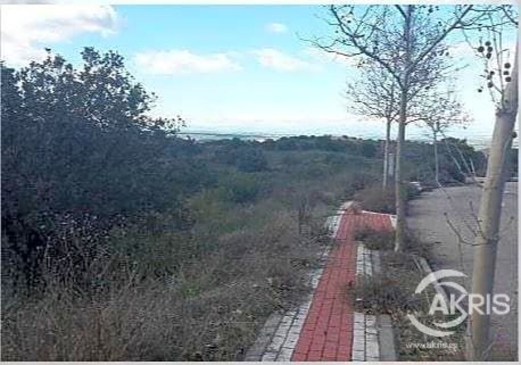 terreno en venta en toledo de 2892 m2 foto grande (3)