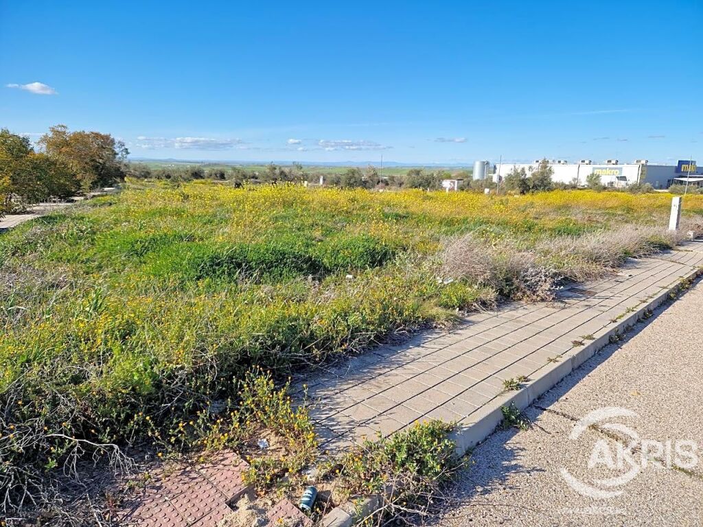 terreno en venta en olías del rey de 266 m2 foto grande (3)