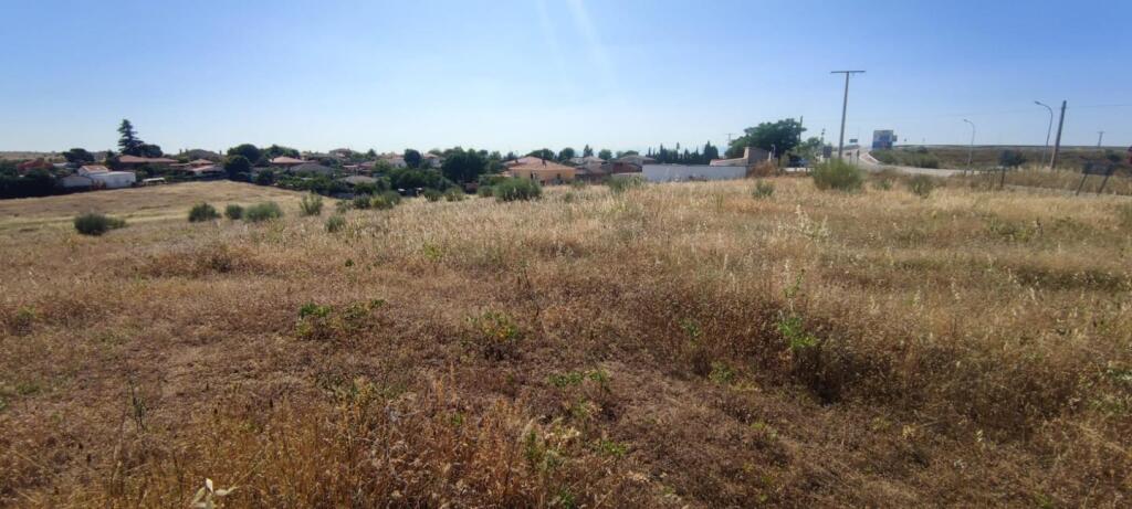 finca rústica de 2,6 hectáreas junto a la a5 foto grande (3)