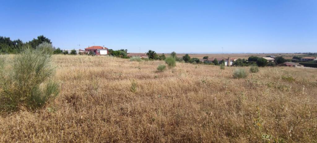 finca rústica de 2,6 hectáreas junto a la a5 foto grande (2)