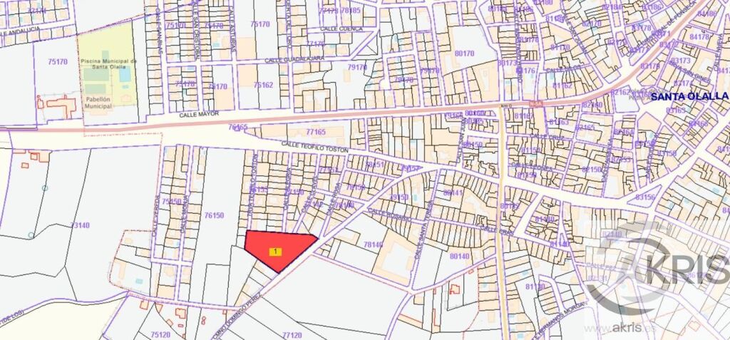 terreno en venta en santa olalla de 4270 m2 foto grande (3)