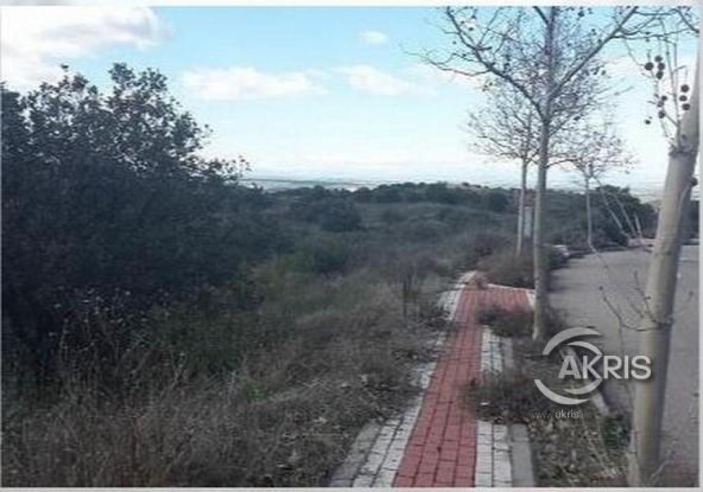 promoción de terrenos en urb. montesión foto grande (2)