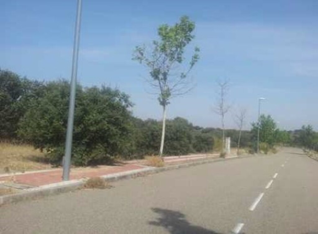 Foto parcela en montesión