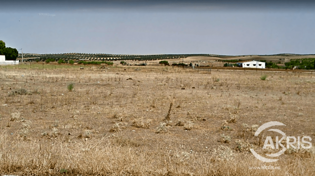 terreno en venta en nambroca de 16044 m2 foto grande (2)