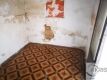 Foto8
