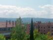Foto50