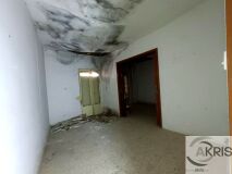 Foto7