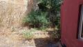 Foto11