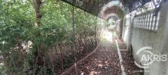 Foto41