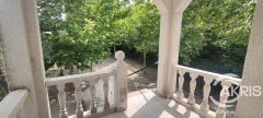 Foto5