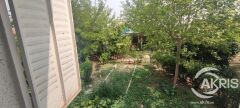 Foto46